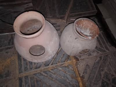 birds breeding matki