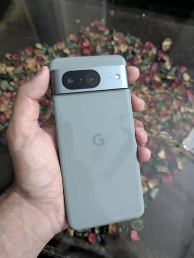 Pixel 8 Official PTA approved