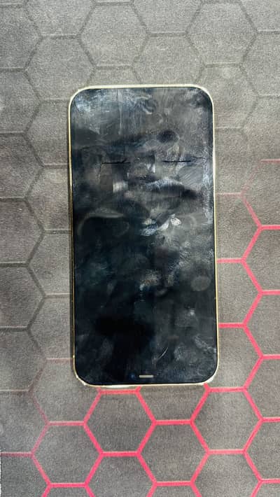 Iphone 12 pro max pta approved