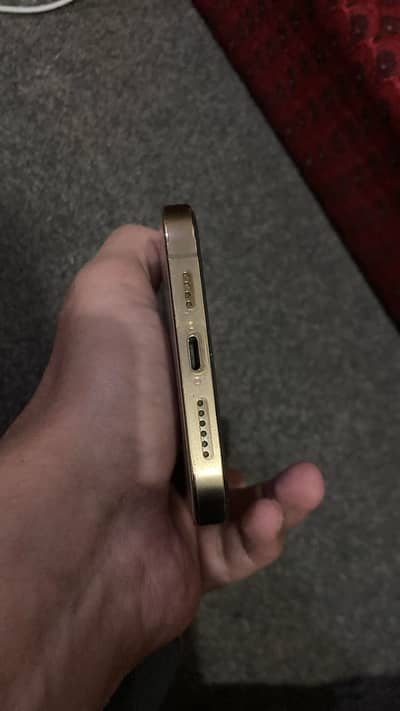 13 pro max 256 Gb