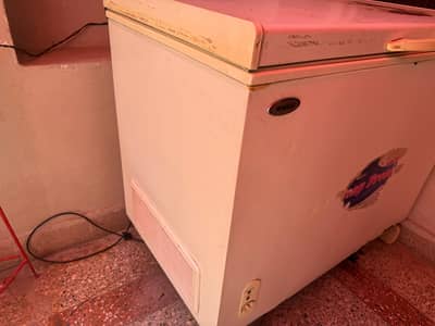 Waves Freezer Full Size Single Door