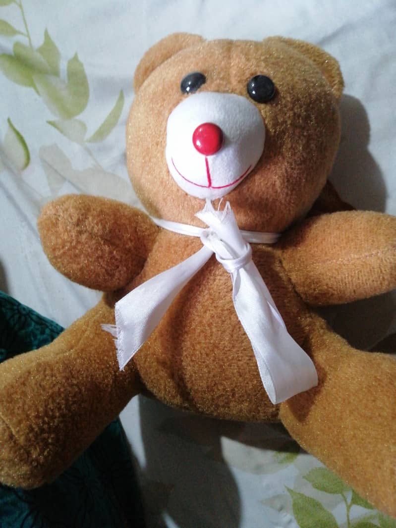 sweet bear 1