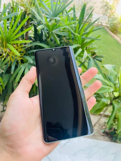 huawei p30 pro (panel)