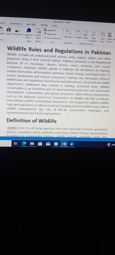 Assignment wriiting