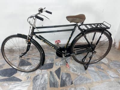 China Cycle (Phoenix)