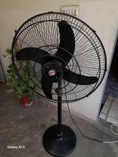 Royal pedestal fan for sale