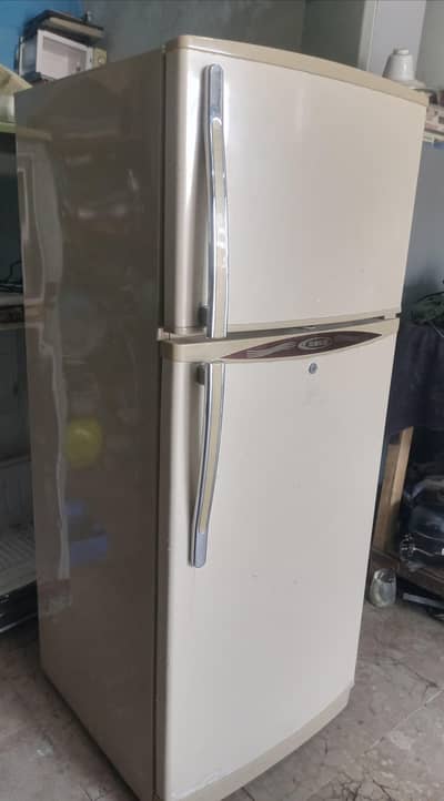 Waves fridge