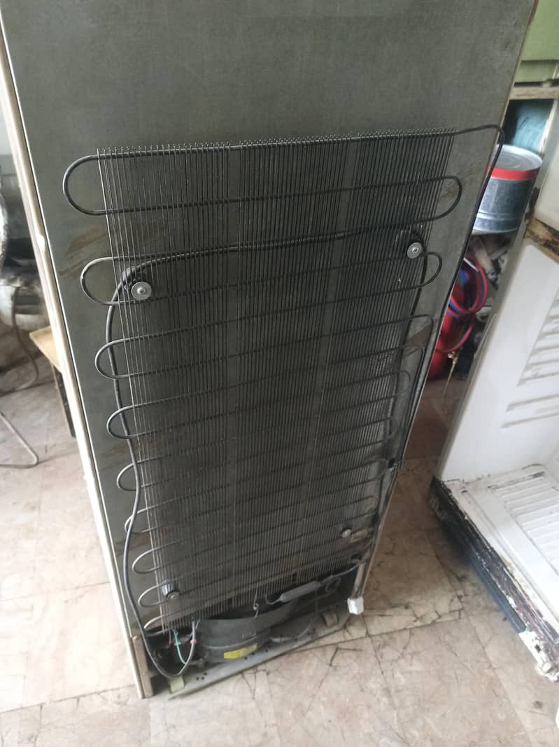 Waves fridge 7
