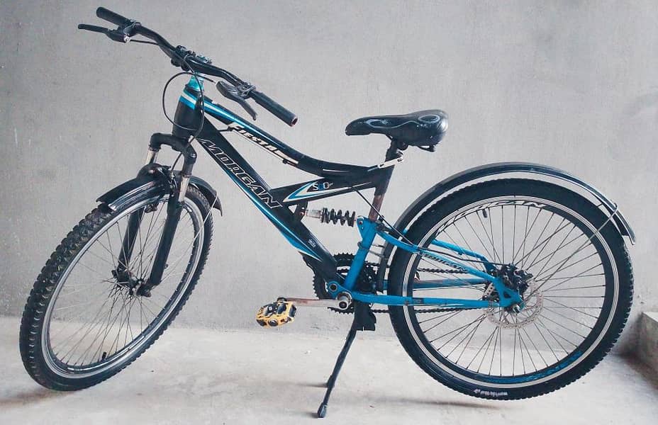 MorganCycle 1