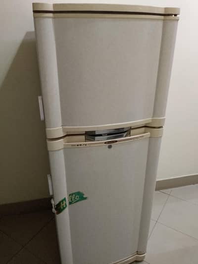 Old Fridge