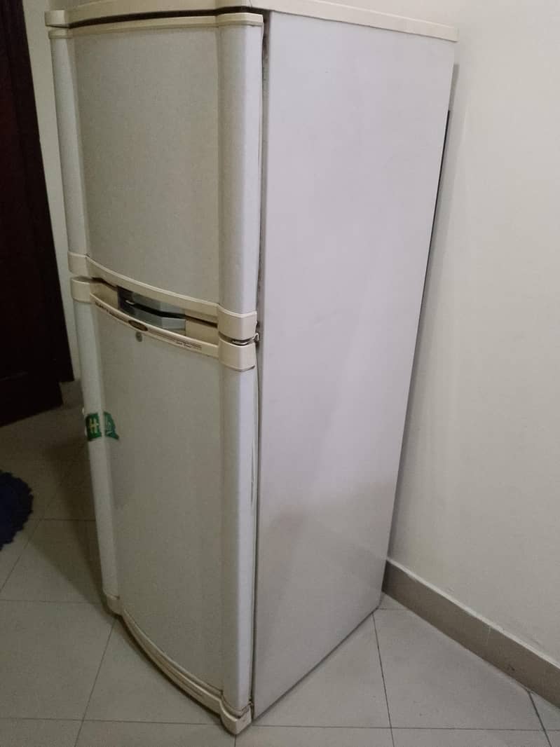 Old Fridge 1