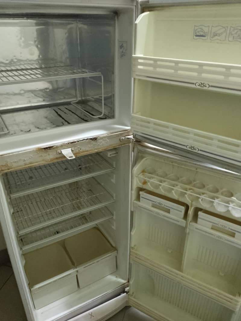 Old Fridge 2