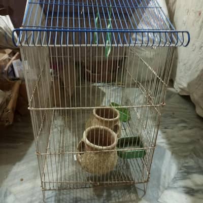 parrot cage
