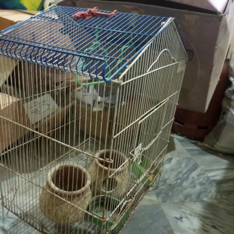 parrot cage — photo 2
