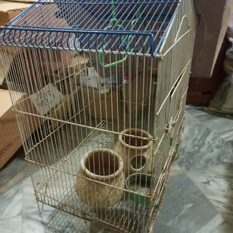 parrot cage — photo 3