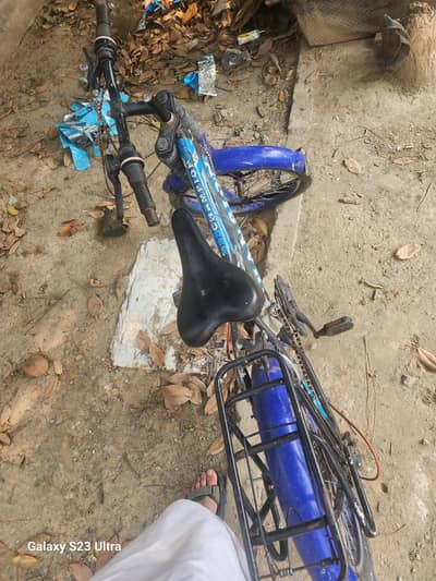 the best bicycle for Road racing