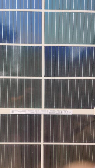 Original Longi Panels