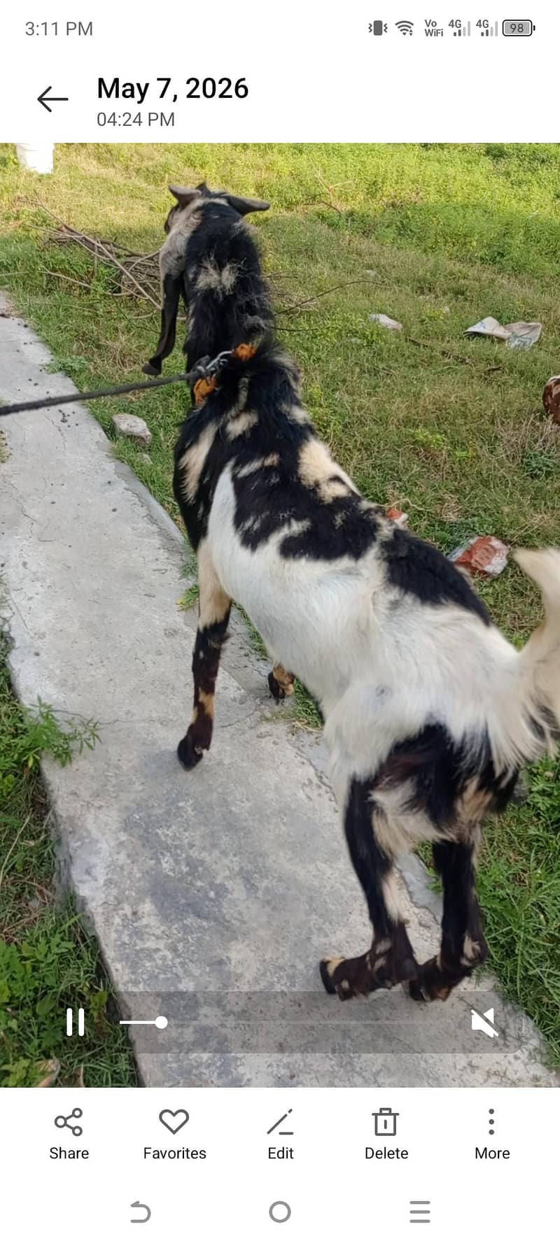 donda bakra 2