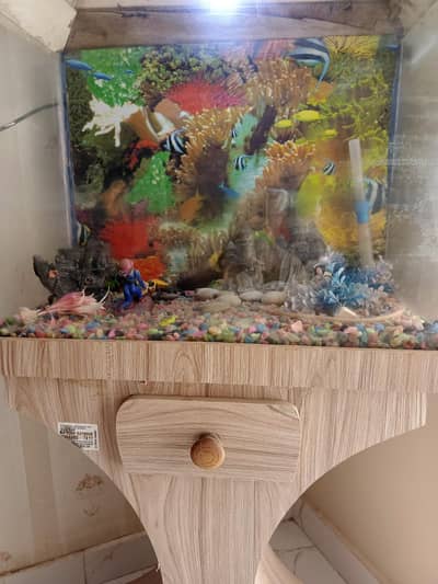 Used Fish Aquarium for Sale 