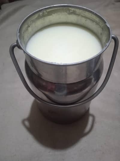 pure fresh desi ghee