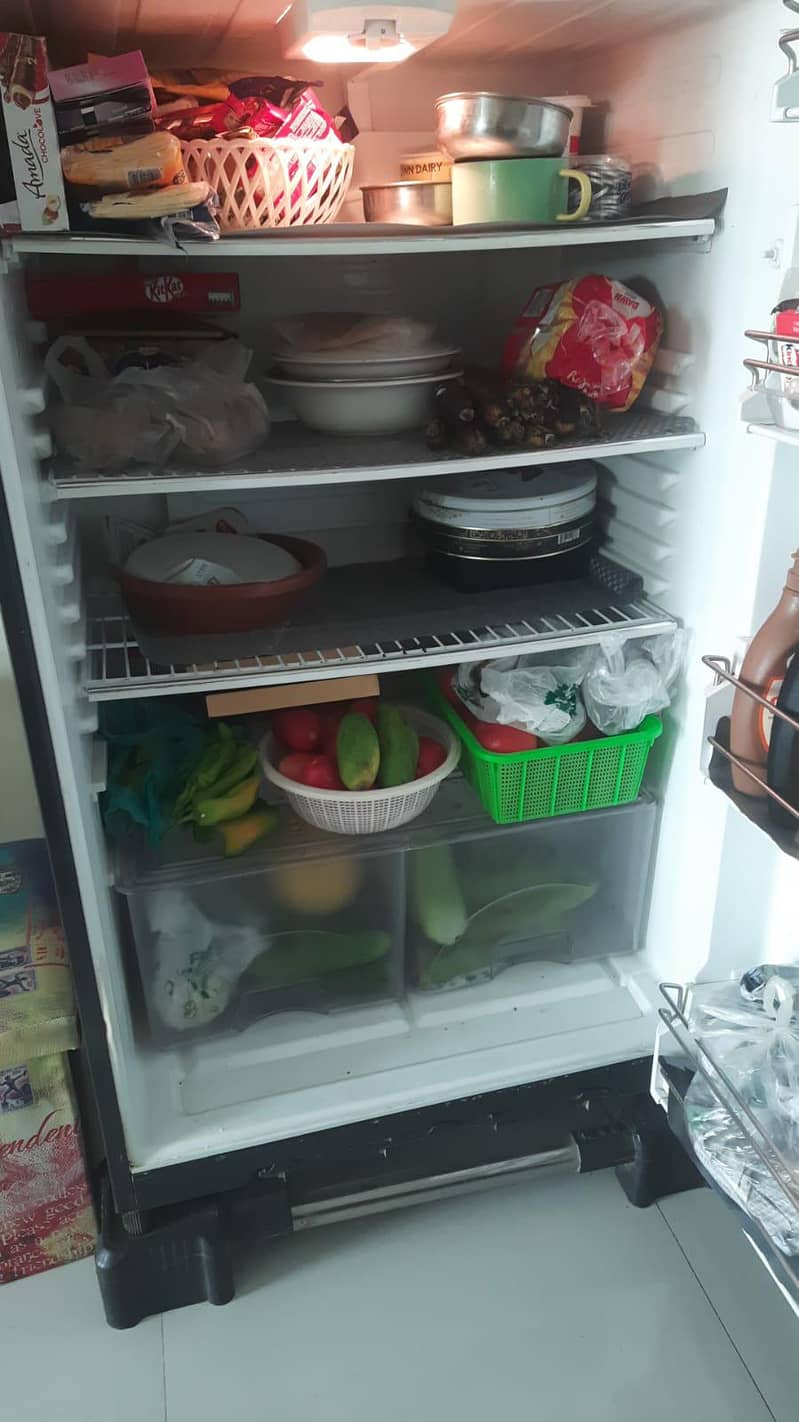 full size fridge 1
