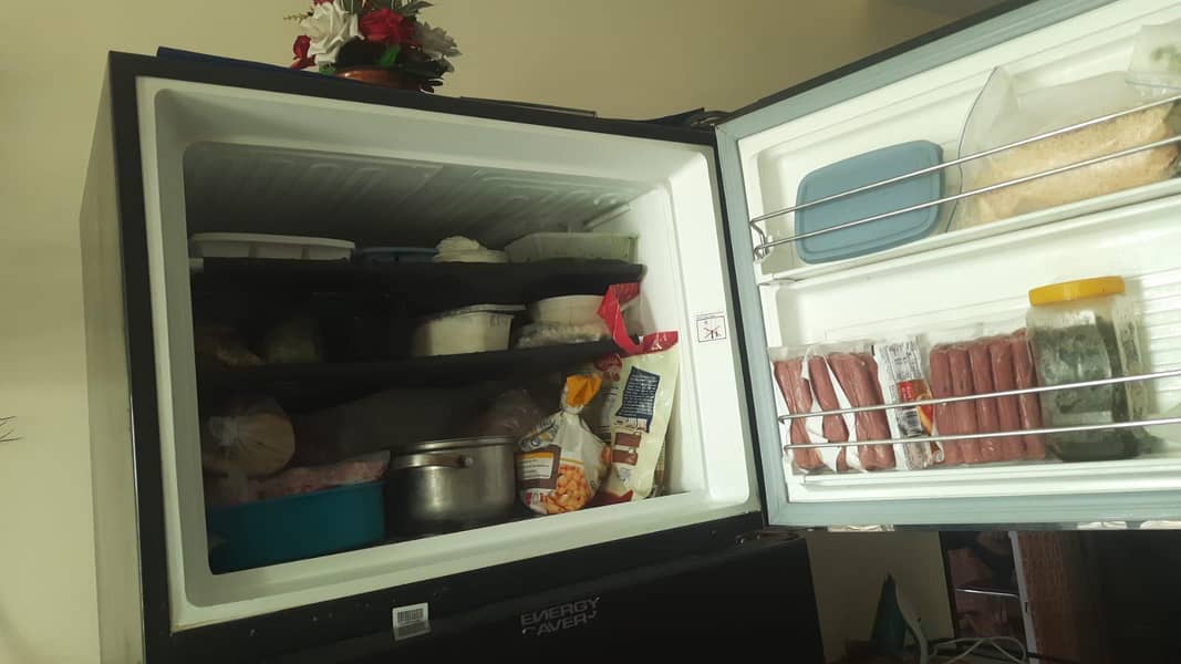 full size fridge 3