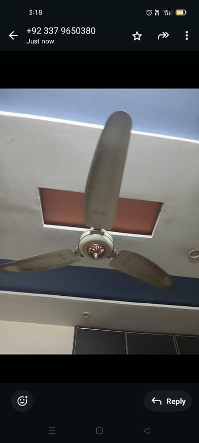 Royal fan
