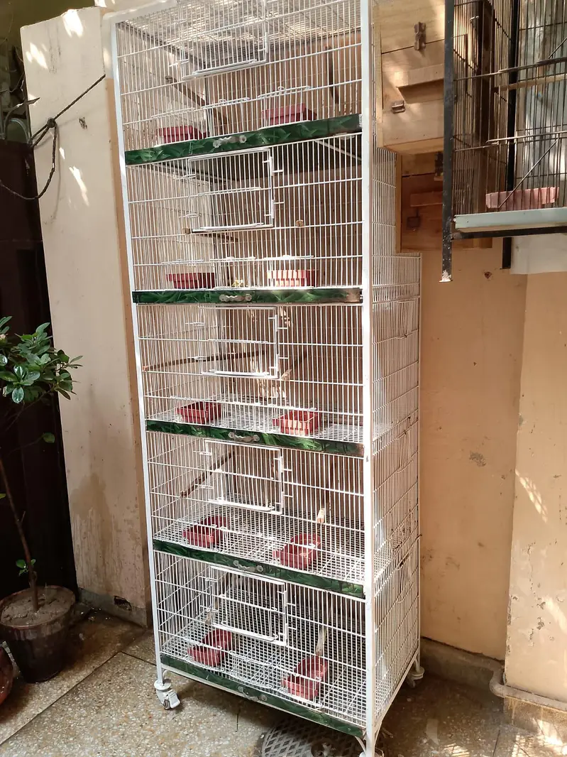 Birds Cage — photo 3