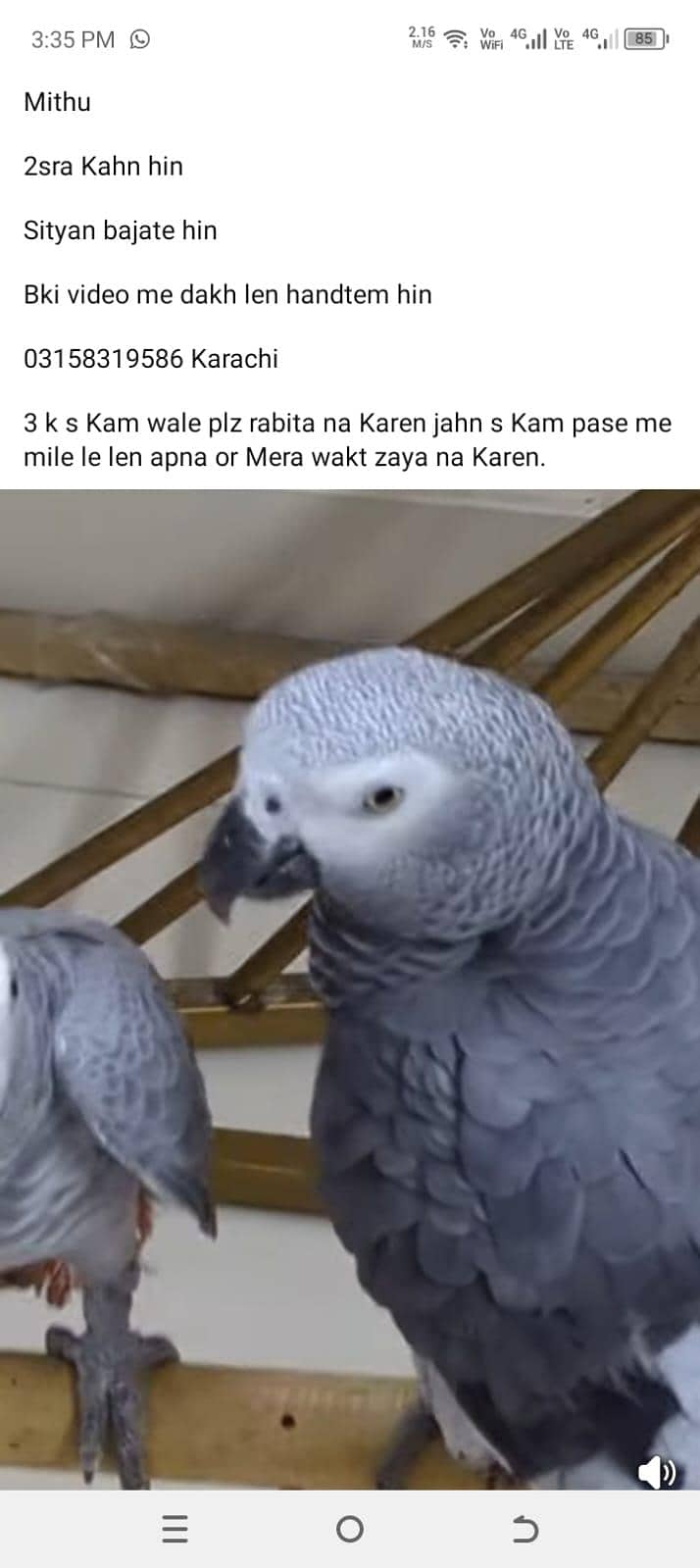 handtem gery pair 5