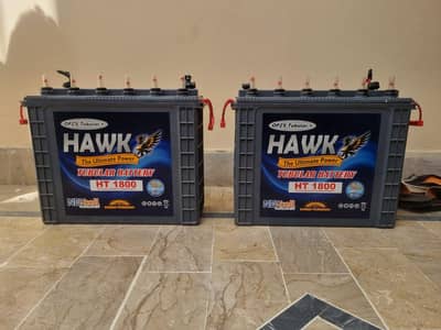 HAWK TUBULAR 185 Amp 2 Battery