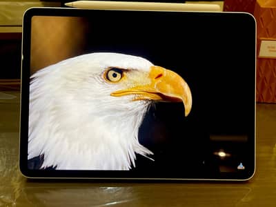 Apple iPad Pro M2 Silver Colour 120$ Apple Magnetic +APPLE PENCIL