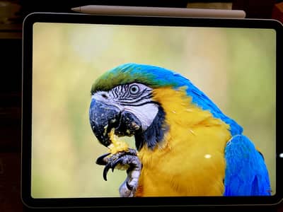Apple iPad Pro M2 Silver Colour 91% Battery Health Mint Condition