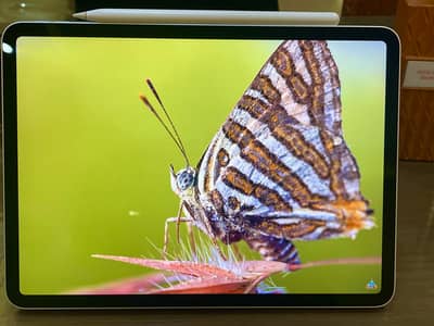 Apple iPad Pro M2 Silver Colour 91% Battery Health Mint Condition