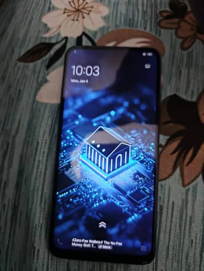 Vivo V15 6/64