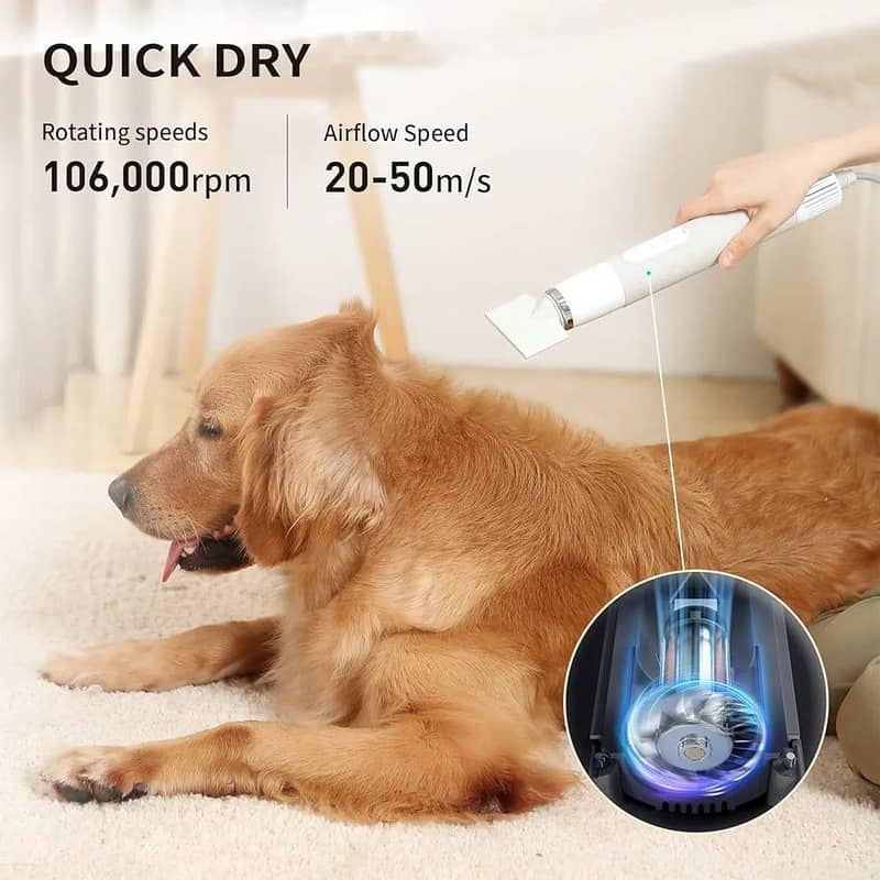 pet Drayer 4