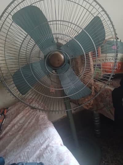 fan home
