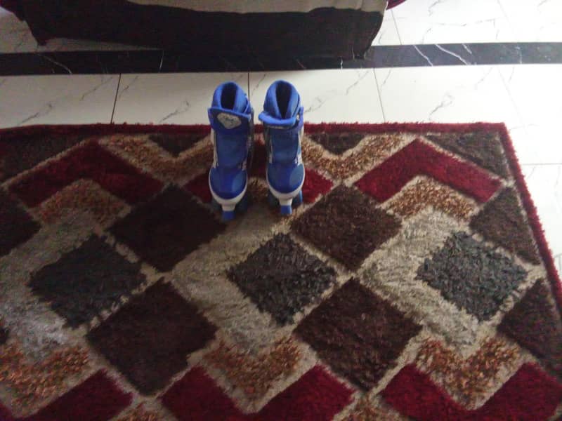 skating shoes 0