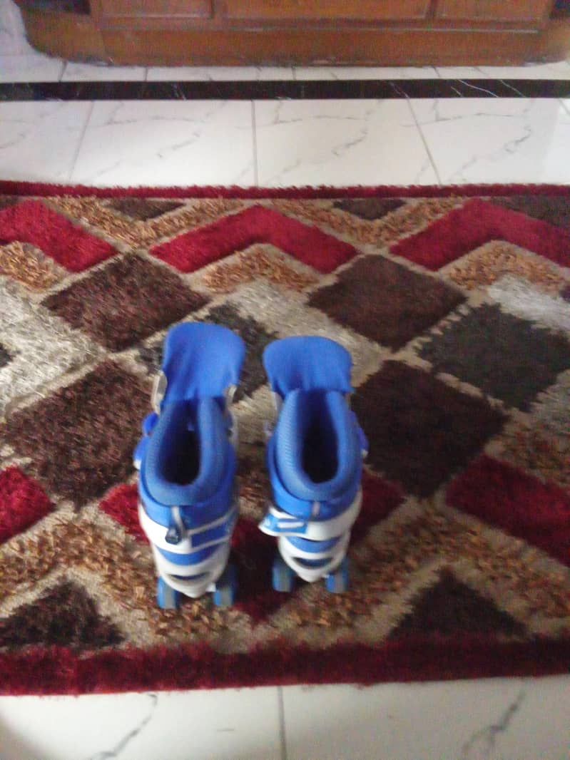 skating shoes 1
