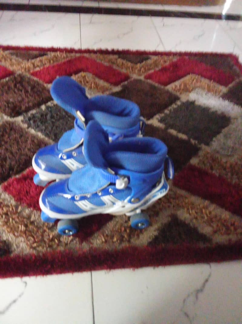 skating shoes 2