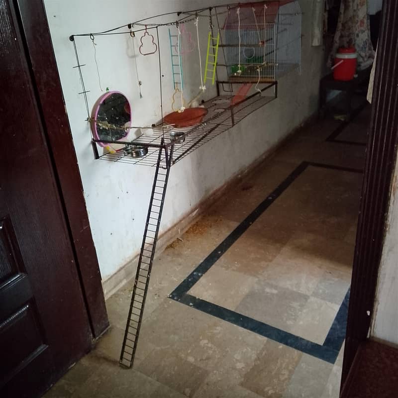 Parrot Stand 0