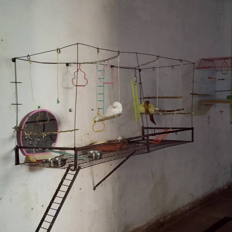 Parrot Stand 3