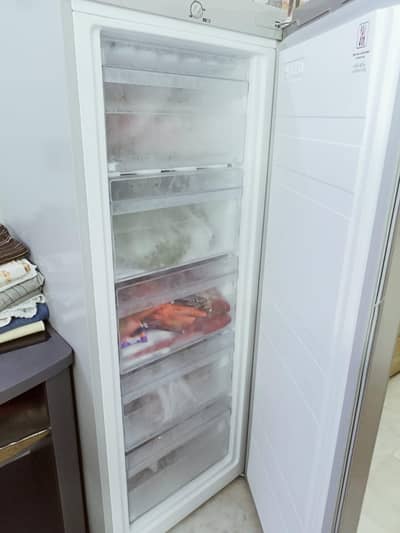 Homage Vertical Freezer Available