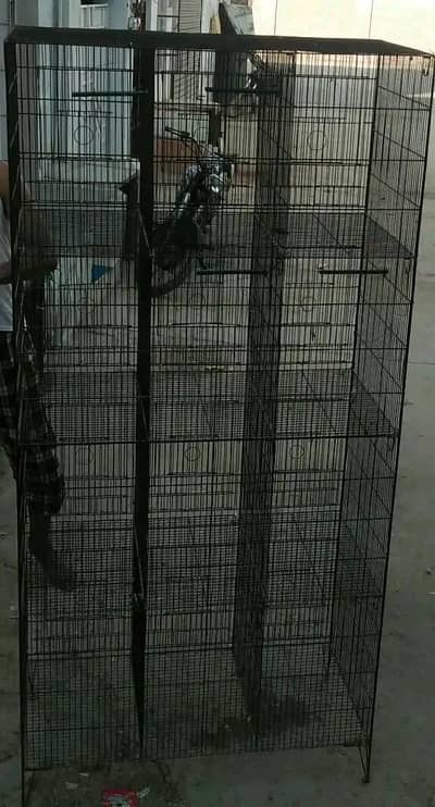 birds cage