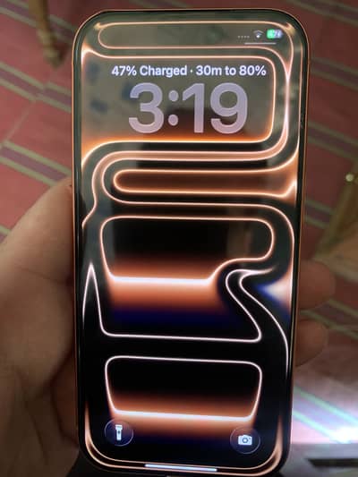 17 pro 256 Gb 100 health CHA model physical dual sim