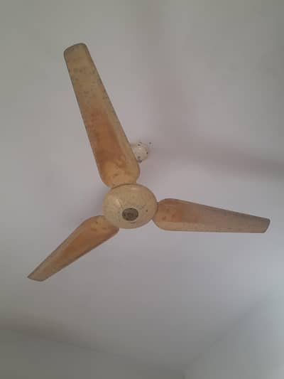pure coper fan condition 10/10 he
