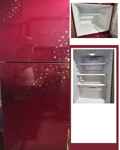 PEL Medium Size Glass Door Refrigerator –  – 10/9 Condition
