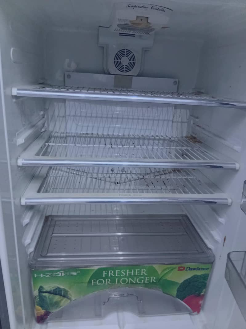 Fridge 11