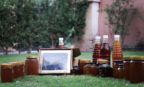 Jungle Honey - Export Quality
