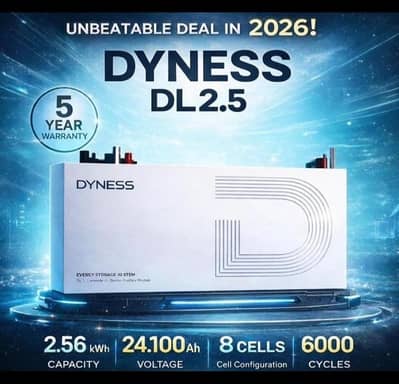 Dyness DL 2.5kw Lithium Battery 100A