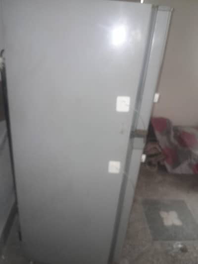 refrigerator coler gree mediam siz